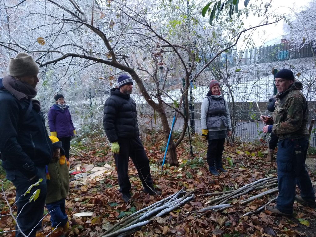 Hedgelaying skills training