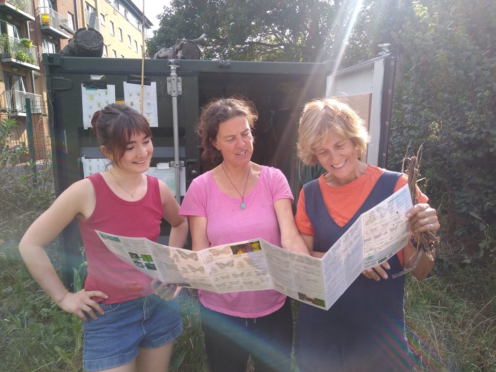 Volunteers checking identities of butterflies