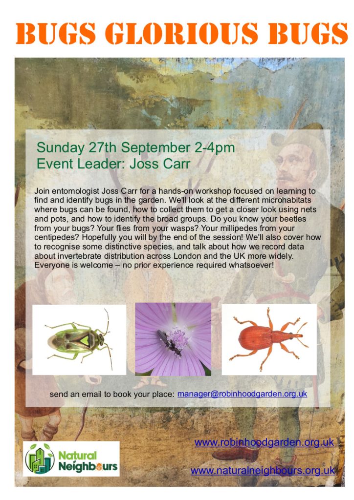 Bugs Glorious Bugs event poster