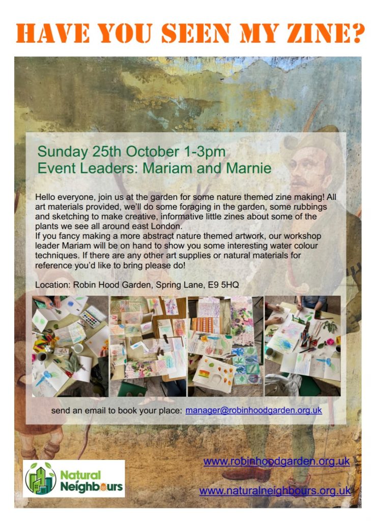 Poster for Have you seen my Zine? workshop